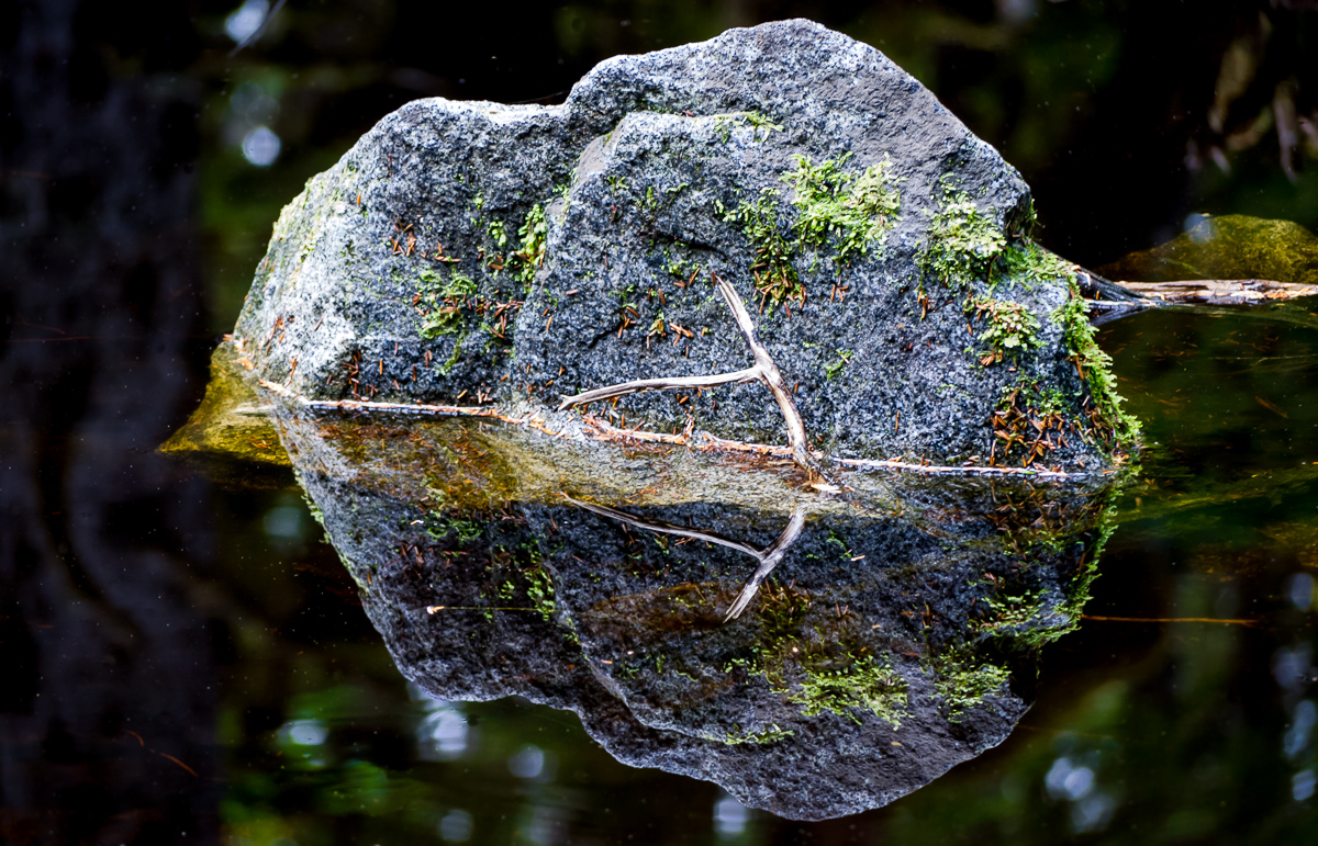 Boulder and reflection in pond, Glacier National Park, Alaska (2012)